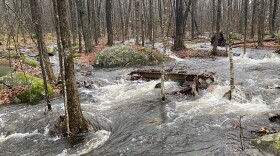 Flooded trails in Concord from the Dec. 18 storm. In New Hampshire, the White Mountains and North Country were some of the most affected regions.