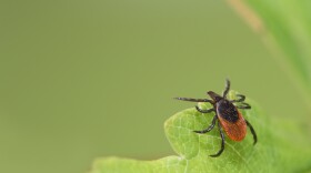 Tick-borne diseases like Lyme disease and babesiosis are spreading in the U.S.