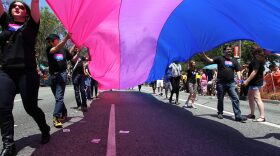 People marching with anBi, a bisexual organization, carry a bisexual flag in the 43rd L.A. Pride Parade in West Hollywood, California.