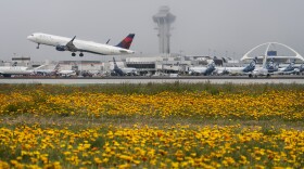 A Delta Air Lines jet takes off at the Los Angeles International Airport in April. Ed Bastian, the airline's CEO, says the CrowdStrike outage has cost the carrier $500 million. 