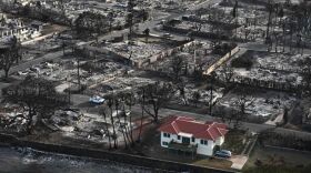 Despite extreme winds and fast-moving flames, researchers say some houses in Lahaina survived the wildfire last August thanks to precautions taken ahead of time. 