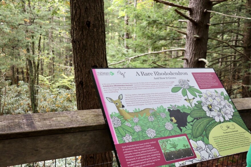 An audio tour accompanies a descriptive placard at each stop, as well as activities such as making acorn flour.