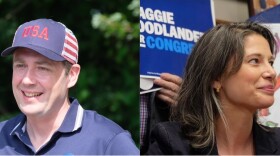 Colin Van Ostern and Maggie Goodlander are running in the Democratic primary for New Hampshire's 2nd Congressional District.