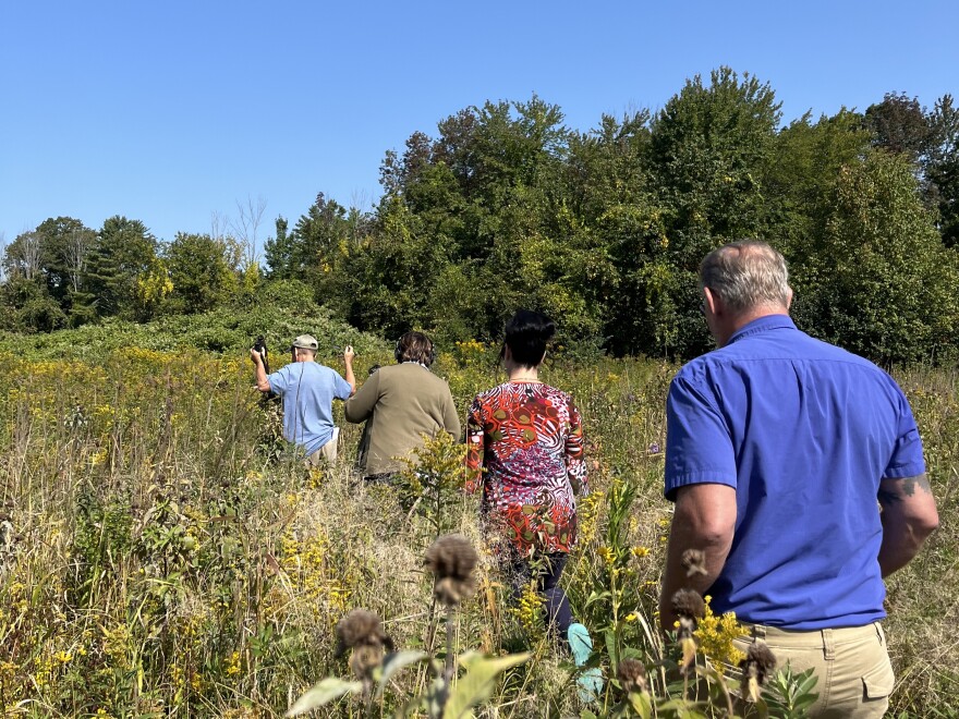 Four people walk in a meadow.