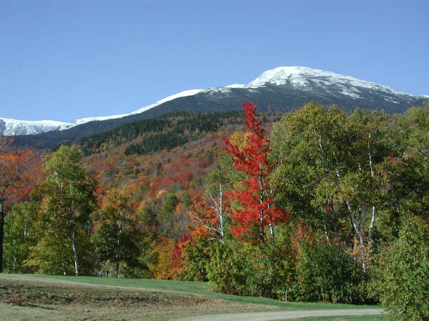 A view of snow-capped Mt. Washington and colorful foliage.