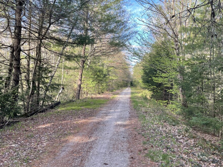 A section of the Northern Rail Trail between Andover and East Andover.