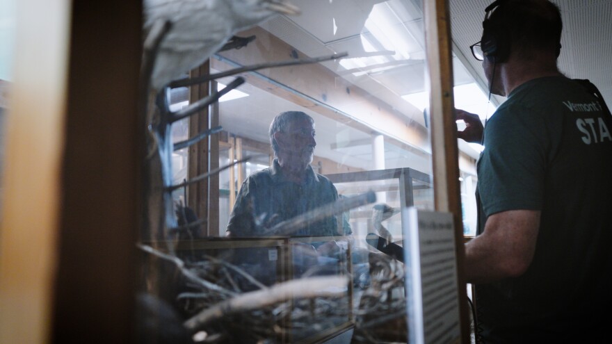 A man is seen through clear cases with taxidermy animals inside 