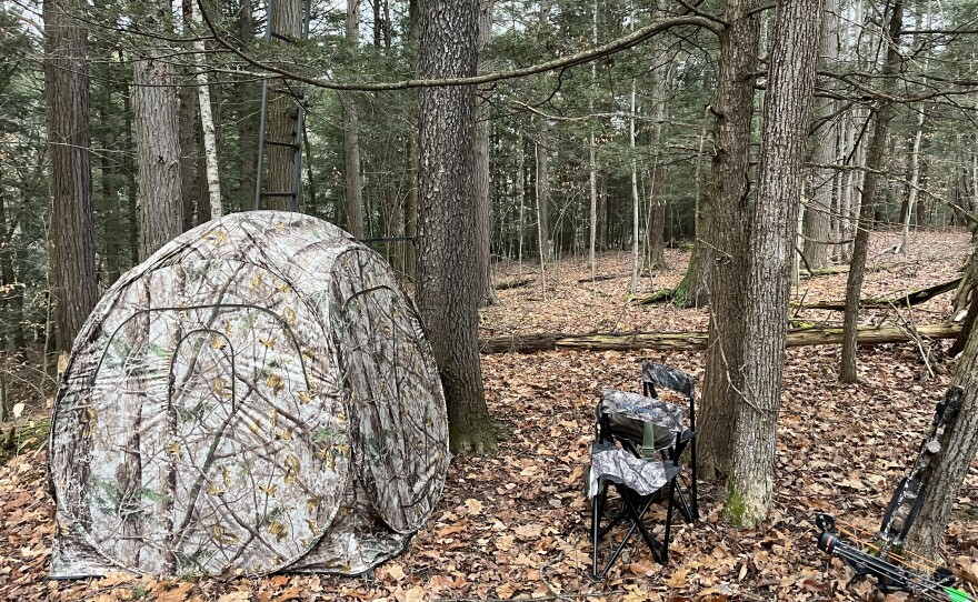 Felix's hunting blind