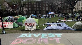 Student activists at an encampment at Brown University's campus in Providence, April 2024. Credit: Olivia Ebertz/The Public's Radio