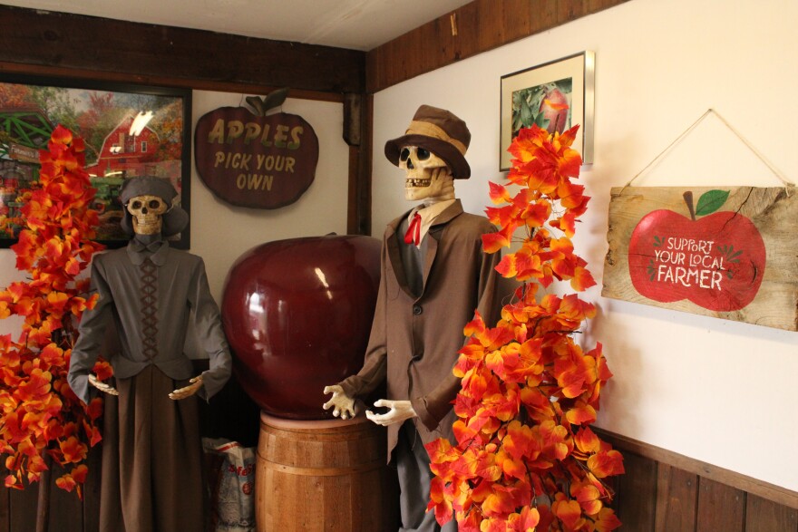 Halloween skeletons on display at the Carter Hill Orchard in Concord on the first day of fall: Sunday, Sept. 22, 2024.