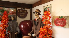 Halloween skeletons on display at the Carter Hill Orchard in Concord on the first day of fall: Sunday, Sept. 22, 2024.