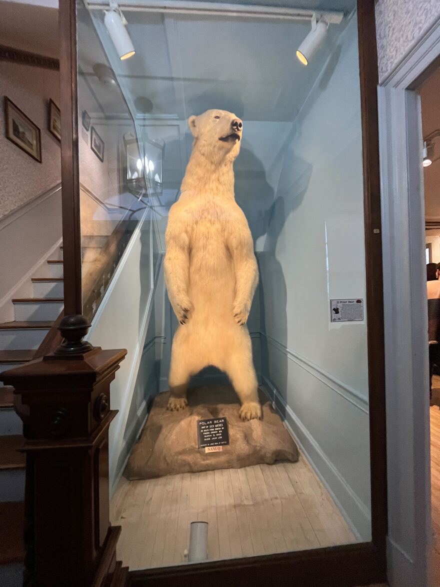 Visitors to the Woodman House at the Woodman Museum are greeted by this 10-foot tall polar bear.