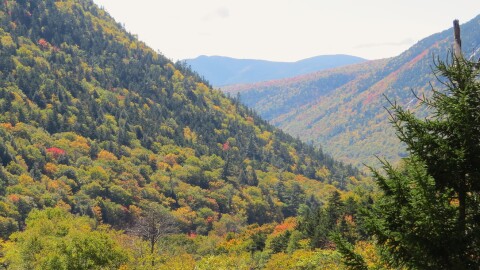 Crawford Notch, looking east, during autumn. Dan Tuohy photo / NHPR