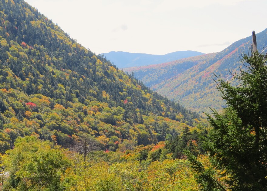 Crawford Notch, looking east, during autumn. Dan Tuohy photo / NHPR