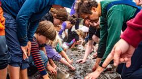 A group of participants sort through wet sand at the 2023 BioBlitz