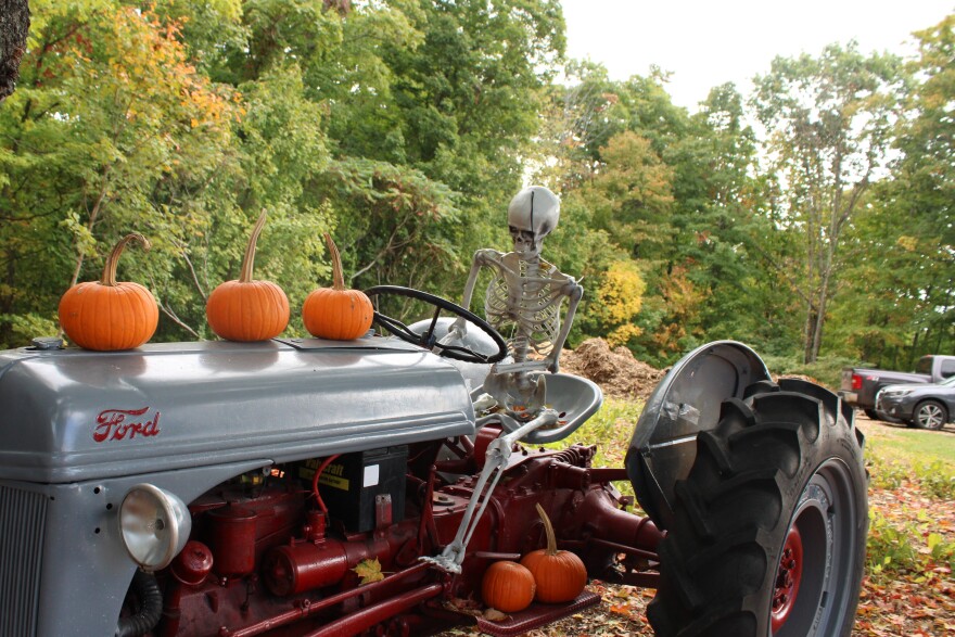 Esqueletos de Halloween en exhibición en Carter Hill Orchard en Concord el primer día de otoño 2024.