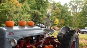 Esqueletos de Halloween en exhibición en Carter Hill Orchard en Concord el primer día de otoño 2024.