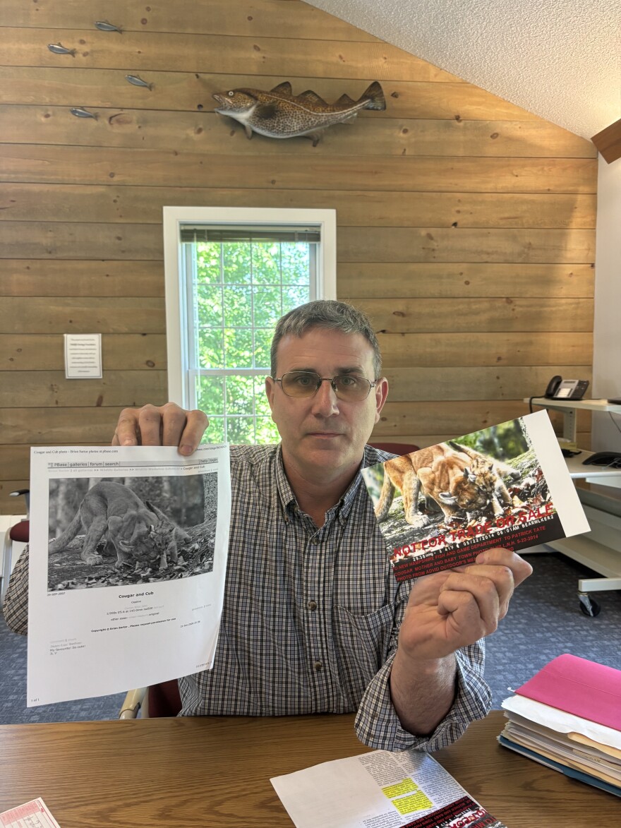 Patrick Tate with New Hampshire Fish and Game shows off a hoax mountain lion sighting submitted to his office. A New Hampshire resident claimed to have a trail camera picture of a mountain lion and her cub, but Tate soon found the same image online.