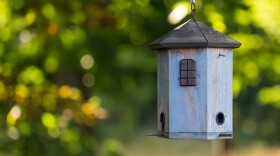 A birdhouse, aka nest-box.